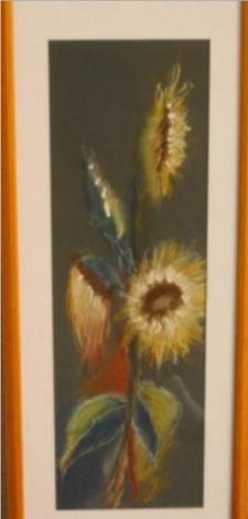 sonnenblumenjpg